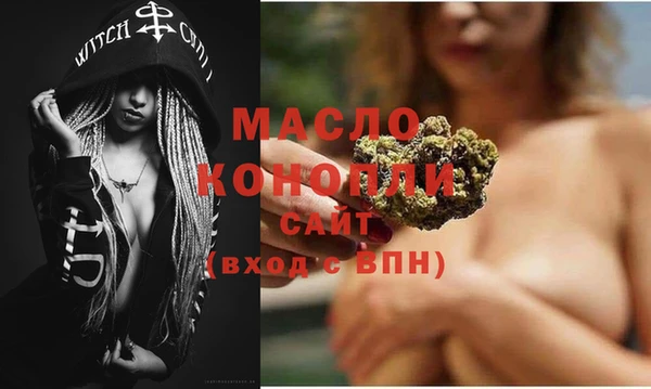 индика Козельск