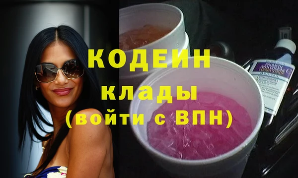 гашик Козловка