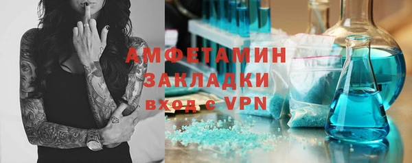 гашик Козловка