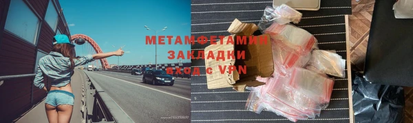 индика Козельск