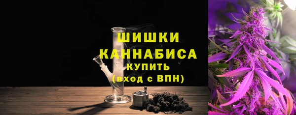 гашик Козловка