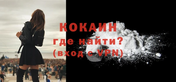 гашик Козловка