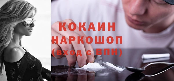 гашик Козловка