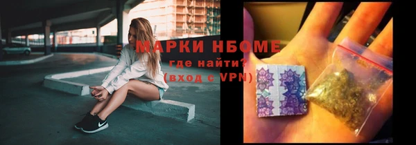 гашик Козловка