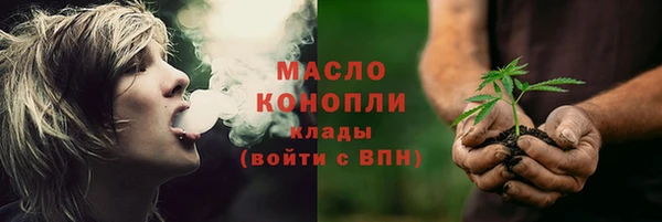 индика Козельск