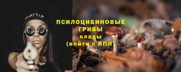 ECSTASY Кодинск