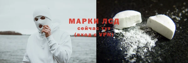 индика Козельск