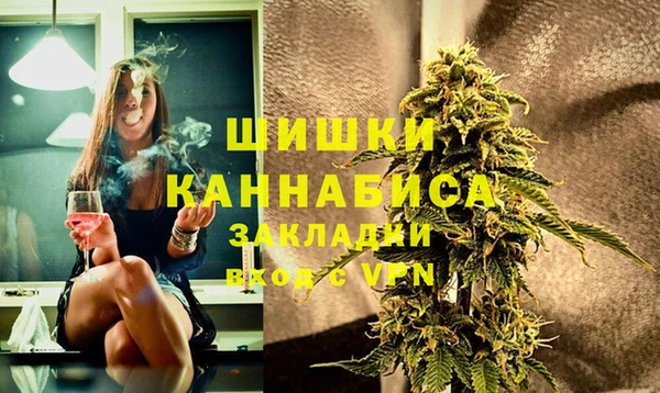 индика Козельск