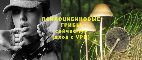 бутират Коряжма