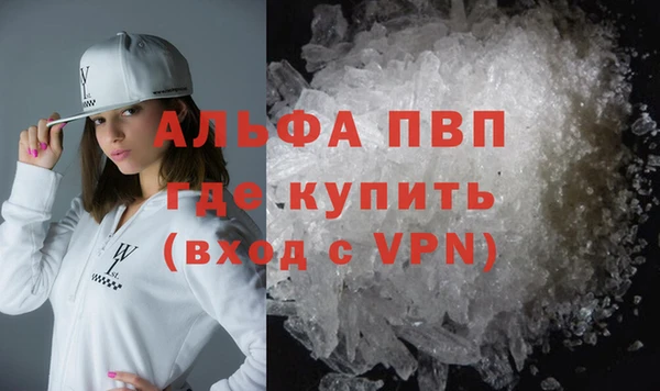 индика Козельск