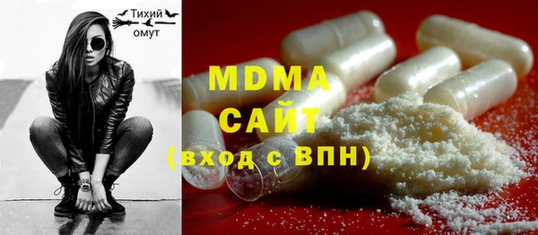 индика Козельск