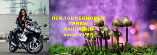 индика Козельск