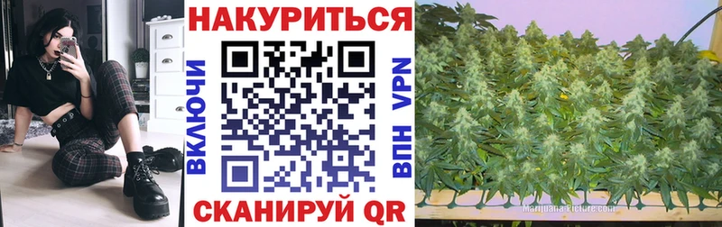 OMG ТОР  Костерёво  Канабис семена 